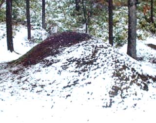 e0103408_1965124.jpg
