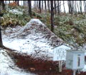 e0103408_197325.jpg