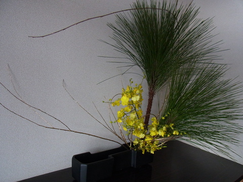 f0131912_072840.jpg