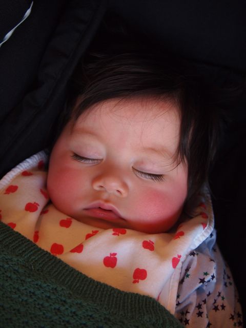 a0151615_1634527.jpg