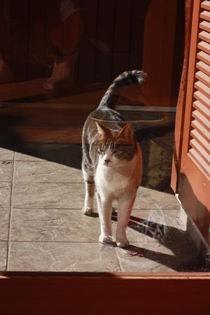 f0002218_20331581.jpg
