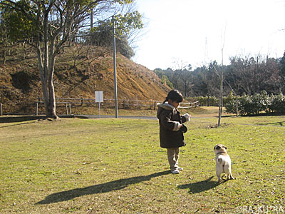 e0195721_8551822.jpg