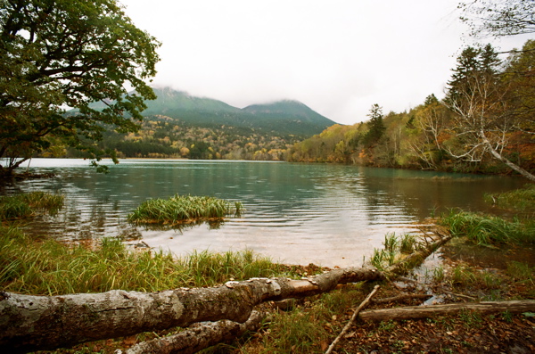 f0182924_238942.jpg