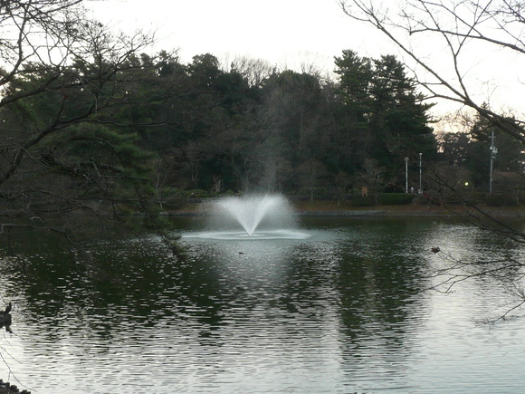 c0009528_17364719.jpg