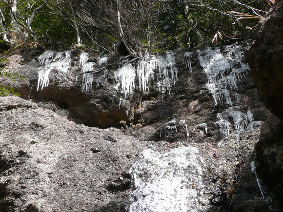 c0009528_2004232.jpg