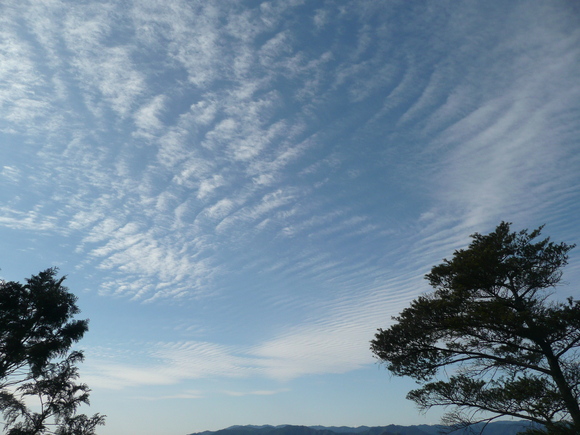 c0009528_2022384.jpg