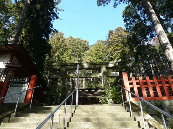 c0009528_2081567.jpg