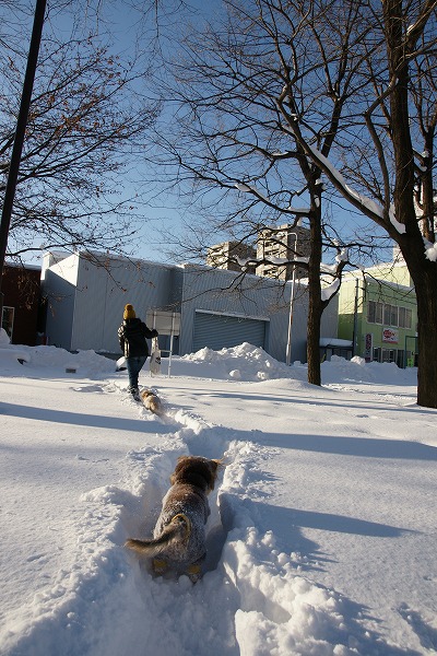 f0046128_7291666.jpg