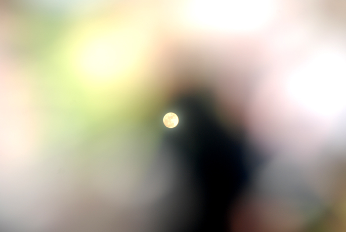 e0116532_14103150.jpg