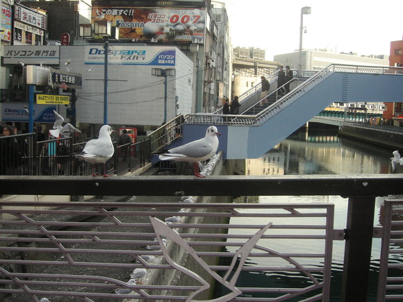 d0013834_11263681.jpg