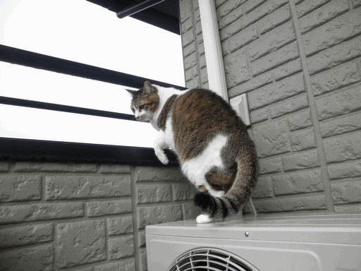 c0136736_1865312.gif