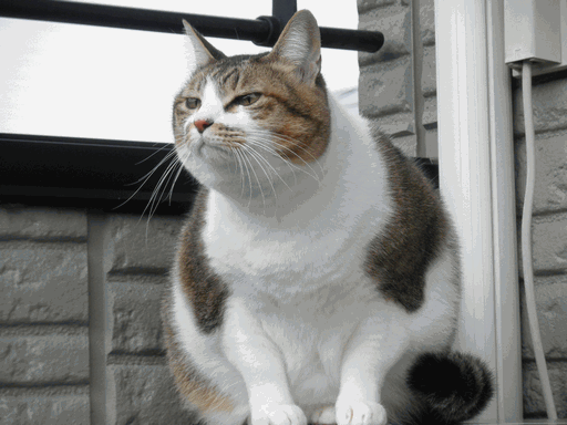 c0136736_1892184.gif