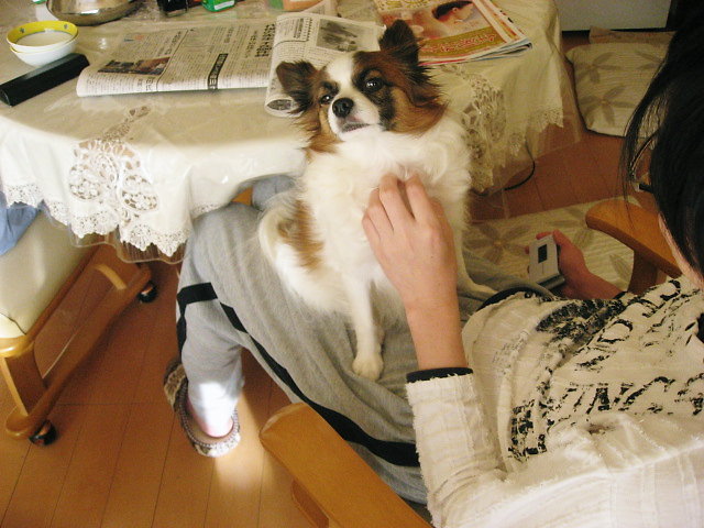 a0149240_9343491.jpg