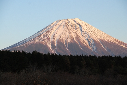 e0126046_14187.jpg