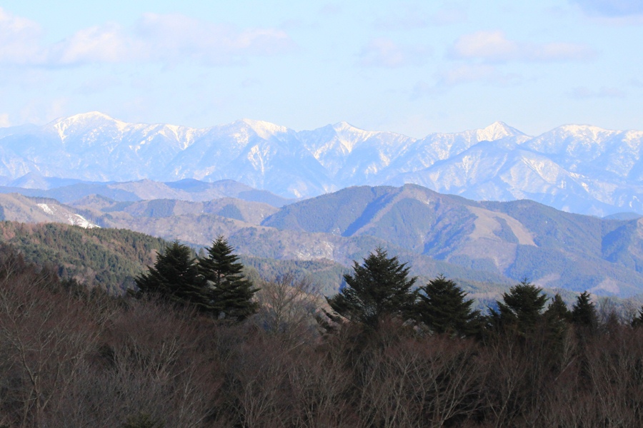 c0136654_3135779.jpg