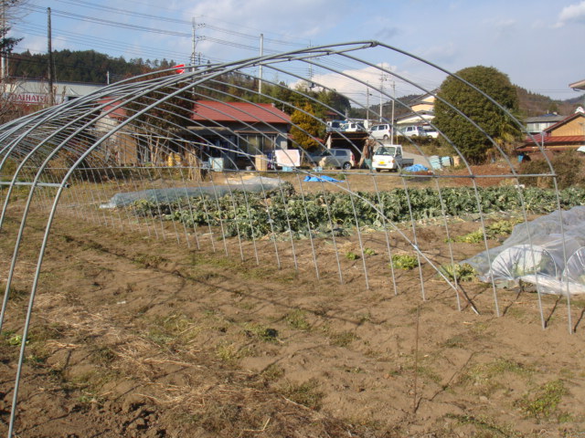 c0074157_2046252.jpg