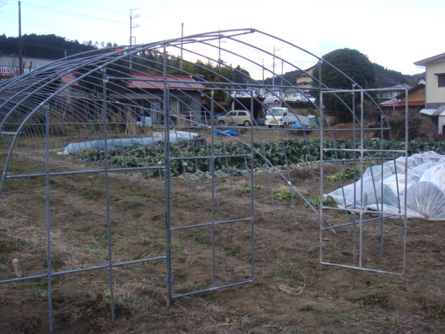 c0074157_2046522.jpg
