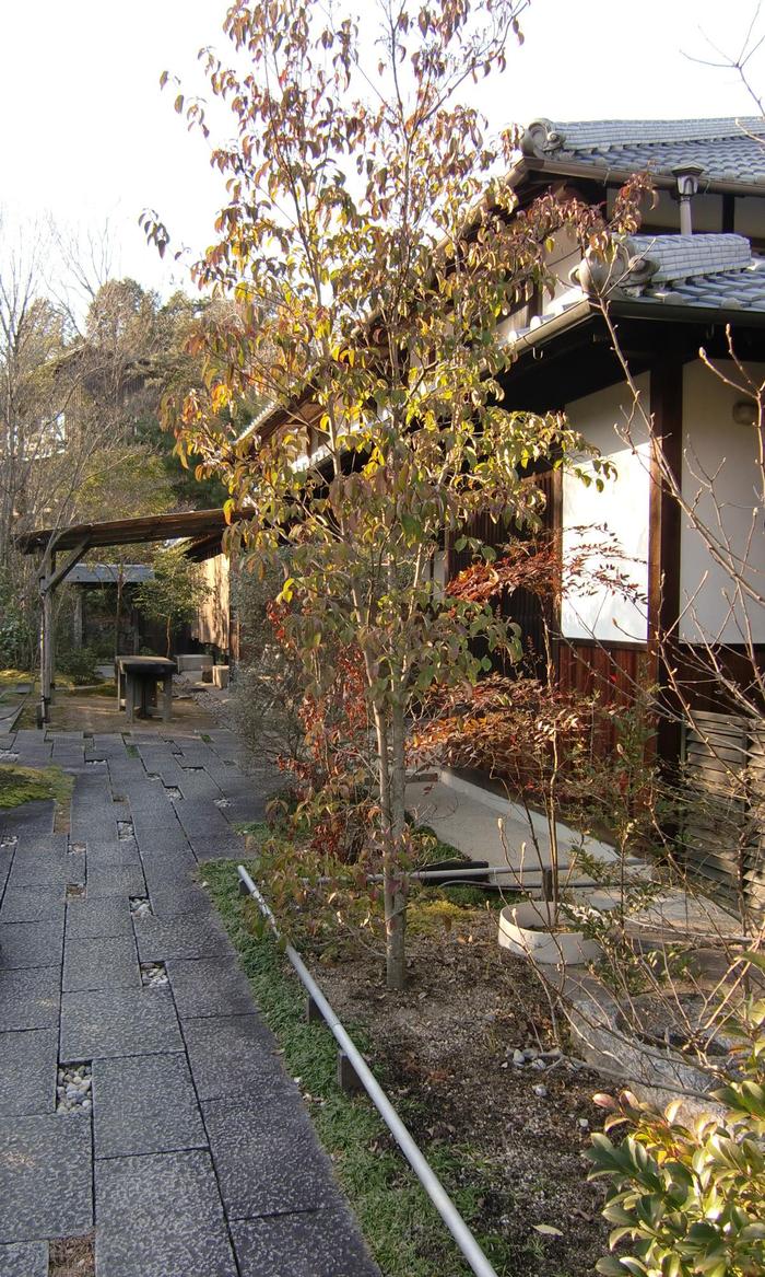 c0140260_23425973.jpg