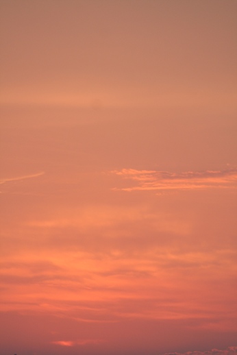 e0068962_20533080.jpg
