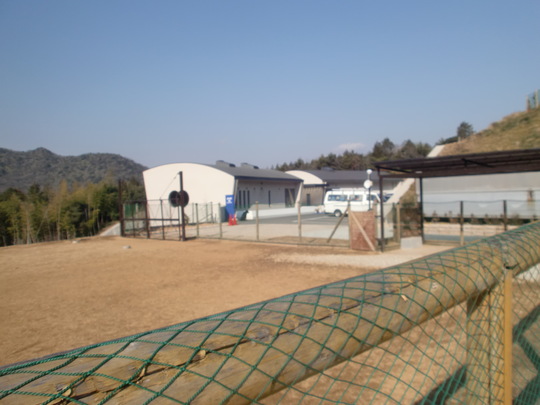 b0182763_16223738.jpg
