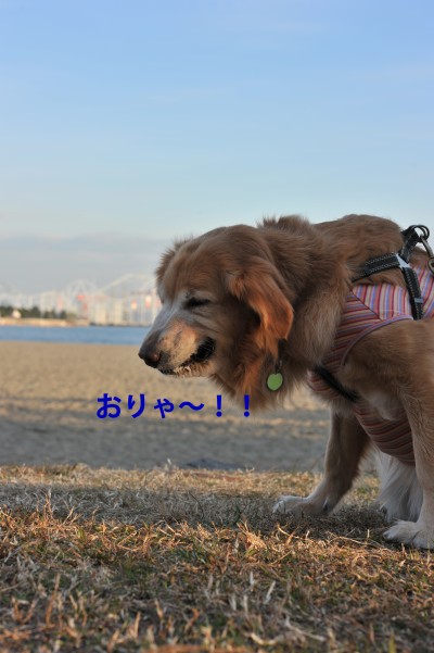 e0020166_7581015.jpg