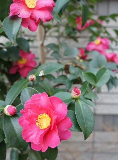 f0146466_2491873.jpg