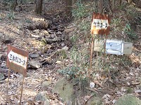 b0004675_17453648.jpg