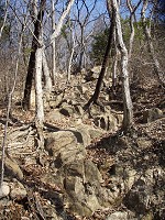 b0004675_17485429.jpg