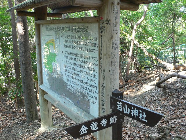 b0042882_16563553.jpg