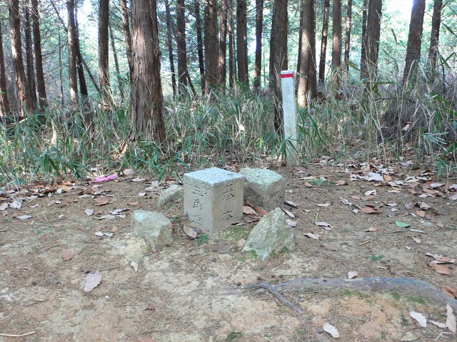 b0042882_17131446.jpg