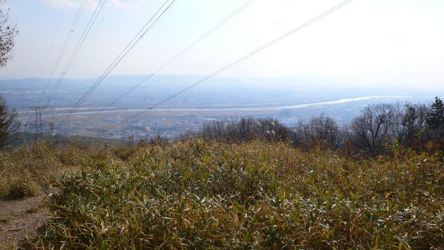 b0042882_17141750.jpg