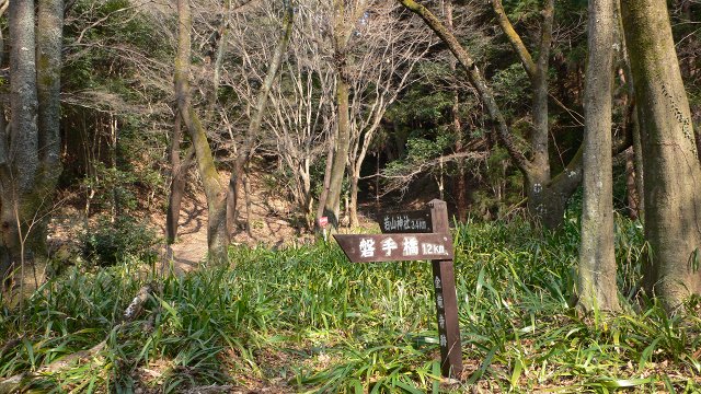 b0042882_17194980.jpg