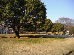 a0142083_1852524.jpg