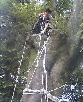 a0196286_12112867.jpg