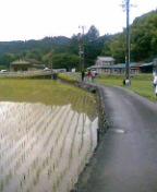 a0196286_12285238.jpg