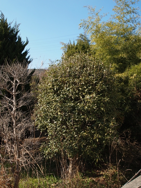 b0108186_23132295.jpg