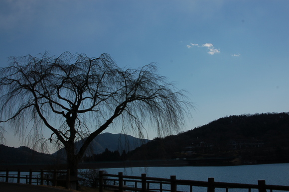 b0203588_19461442.jpg