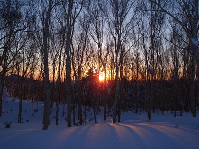 c0018489_0175559.jpg
