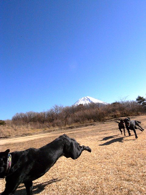 a0093592_23361726.jpg