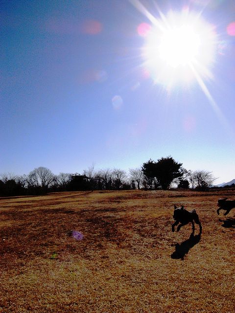 a0093592_23404368.jpg