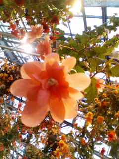 b0067595_20542469.jpg