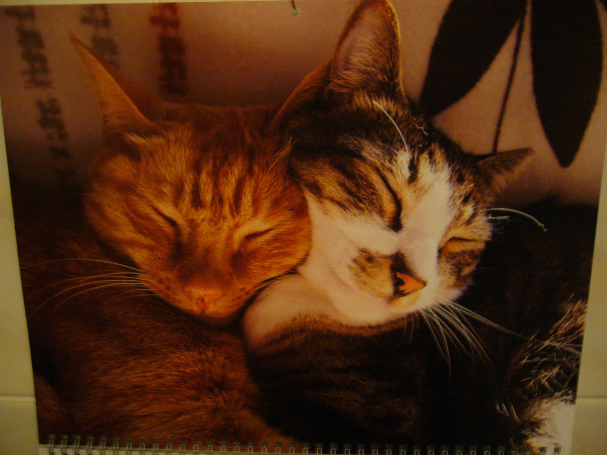 f0169397_0271528.jpg