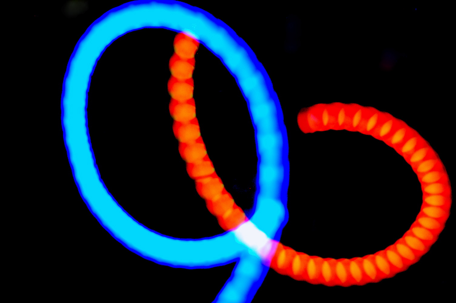 a0157704_222281.jpg