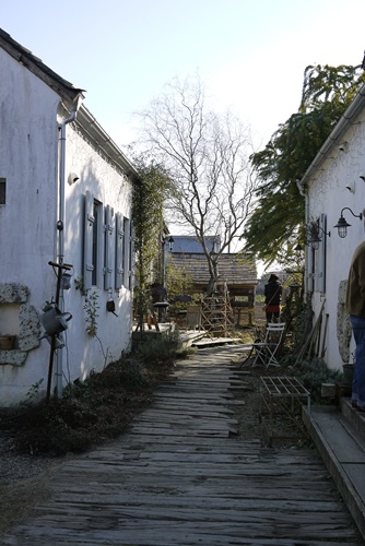 d0133704_142425.jpg