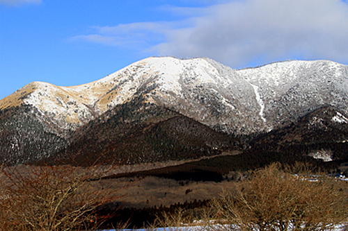 b0014607_20303851.jpg