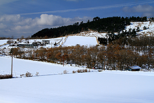 b0014607_2032333.jpg
