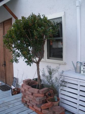 f0113108_178596.jpg
