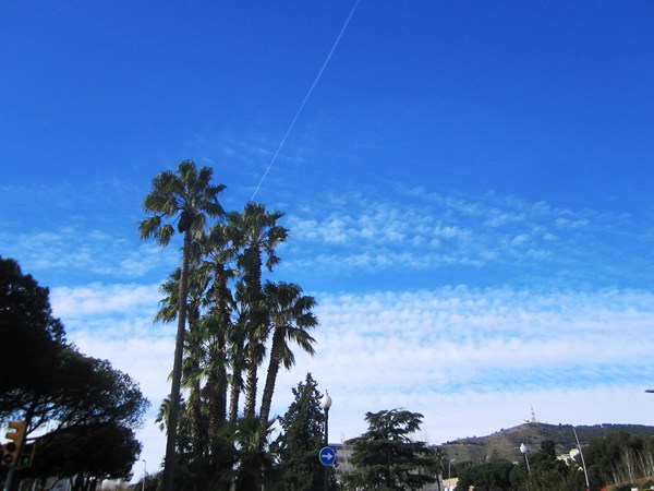 b0064411_15513883.jpg