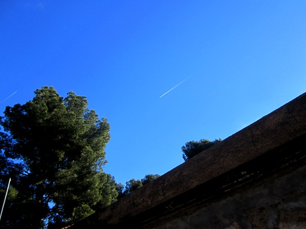 b0064411_1645367.jpg