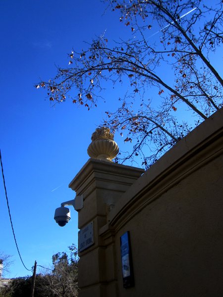 b0064411_1654818.jpg